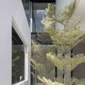 Ming Architects - Cleave House - 9 LR